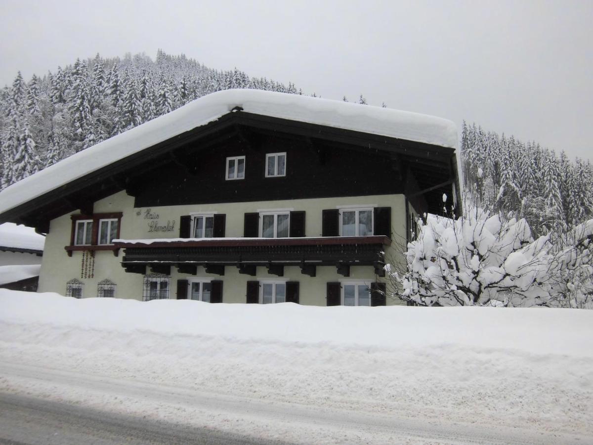 Privatzimmer Haus Anna+Franz Viehhofen Exterior foto